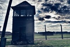 ausvicas-birkenau2