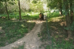 ZOO-Košice4